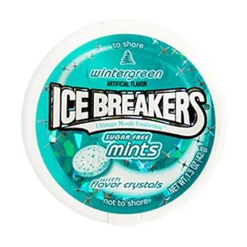 Ice Breakers Wintergreen 8x 42g