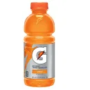Gatorade Orange 24x 591ml