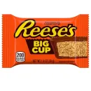Reese´s Big Cup 16x 39g